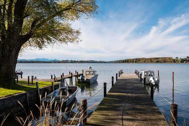 亚精英赛第5轮MVP评选：林加德、塔迪奇领衔，周定洋在列