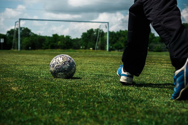 贺希宁在招笑这个赛道已经越走越远了，估计这会人设已经改不回去了