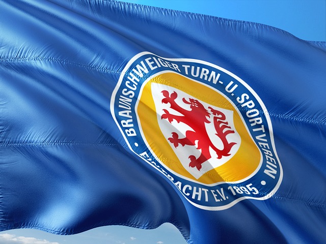 后续展望 后续展望