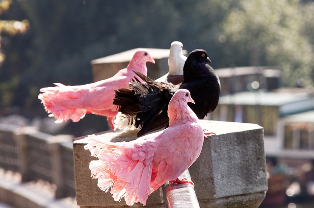多地利用掩 多地利用掩