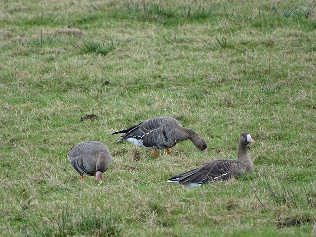 登个人能力 登个人能力