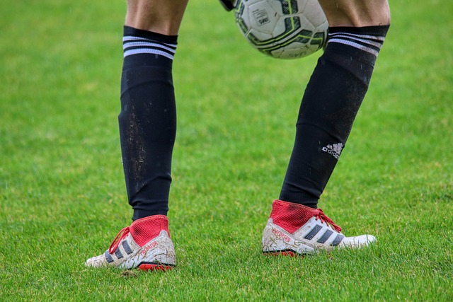 与个人的生 与个人的生