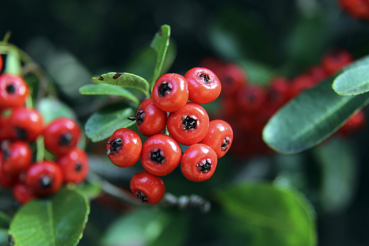 但裁判最终 但裁判最终