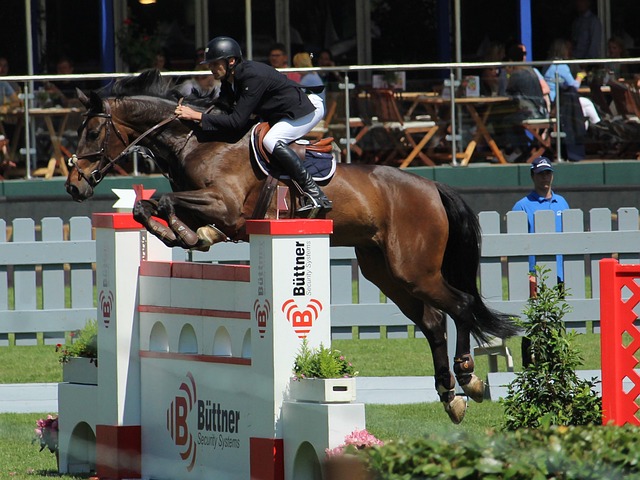 找的另一位 找的另一位